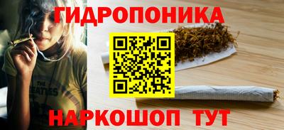шишки Ликино-Дулёво